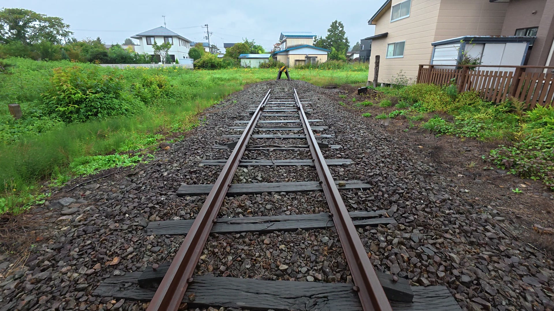 草に埋もれる線路